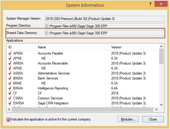 system information window