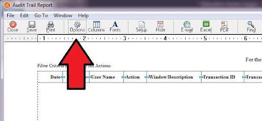 Sage Audit Trail Report