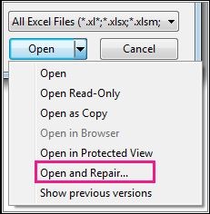 Use Open & Repair Utility Option