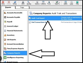 Run an Audit Trail Report