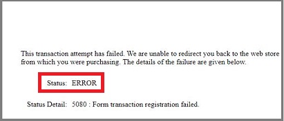 Transaction Error Window